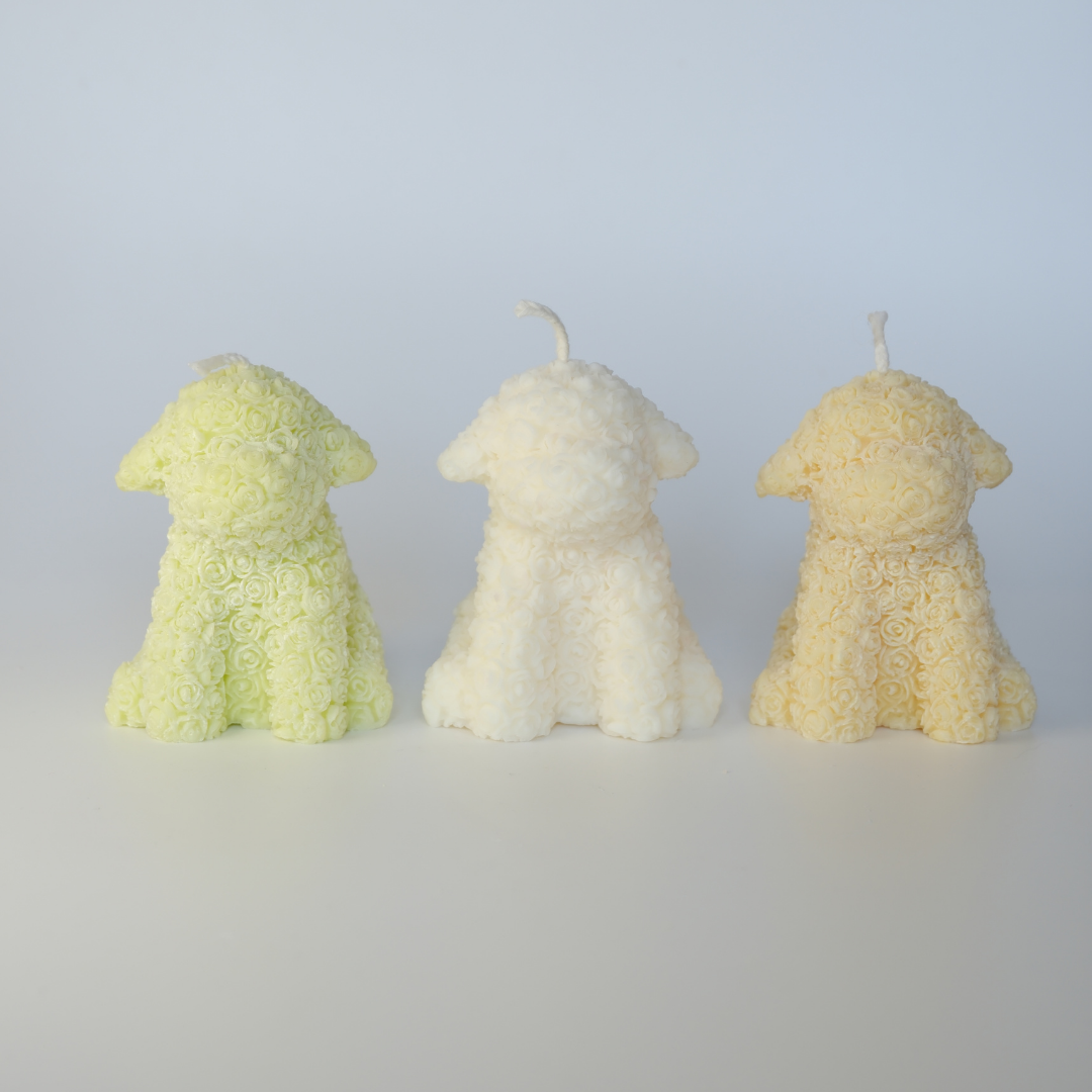 Le Toutou